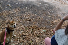 $IMG_20200804_121118