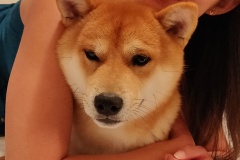 $IMG_20200805_213803