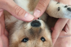 IMG_20190815_214405_01