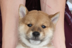 IMG_20190815_214407_01