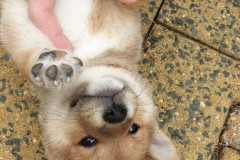 IMG_20190815_214416_01