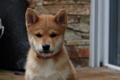 IMG_20190912_142041_01