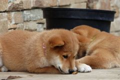 IMG_20190912_142055_01