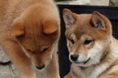 IMG_20190912_142058_01