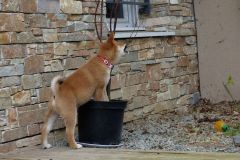 IMG_20190912_142101_01