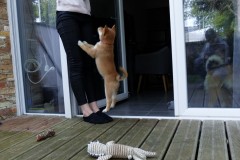 IMG_20190912_142103_01