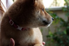 IMG_20190912_142104_01