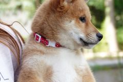 IMG_20190912_142105_01