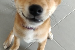 IMG_20191003_184223__01