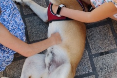 IMG_20200801_175840__01