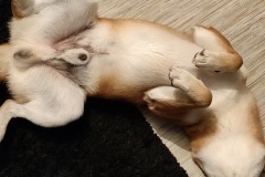 IMG_20200814_231547__01