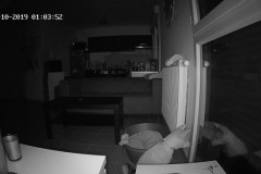 TV-IP410PI_20191013_013350