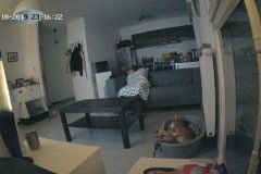 TV-IP410PI_20191013_234620