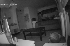 TV-IP410PI_20191013_235845