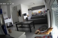 TV-IP410PI_20191014_133551