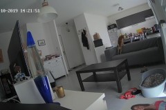 TV-IP410PI_20191015_142150