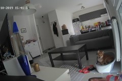 TV-IP410PI_20191015_154135