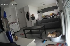 TV-IP410PI_20191016_160533