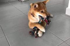 received_1094600764077653