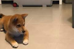 received_1525008310975664