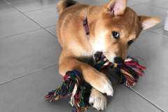 received_1813271815474396