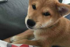 received_2148869592073319