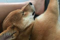 received_2253201474970686