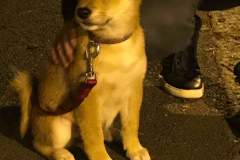 received_2361350520795405