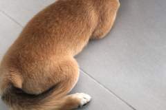 received_2385380168379301