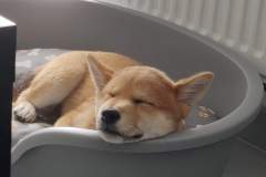 received_2421697384577051