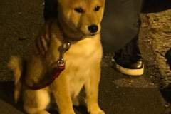 received_2477504418953132