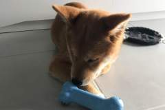 received_2577735302440693