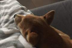 received_263412604614300