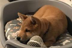 received_2933164476697965