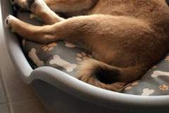 received_374161913470133