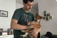 received_377581306456807