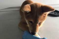 received_394419768156767