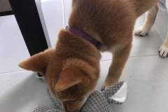 received_395971474637023