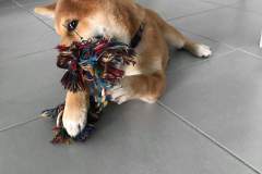 received_398428944433945