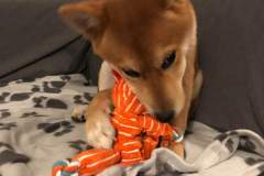 received_423088811963851