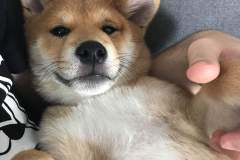 received_439941373289955