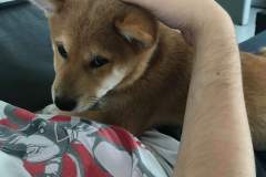 received_455257445085515