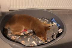 received_461976804408167