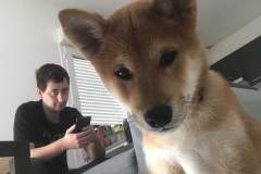 received_498561114056101