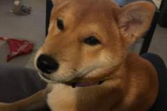 received_517468252435724