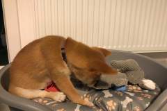 received_523763138452906