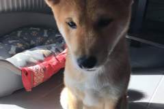 received_575300546638171