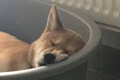 received_738291453260580