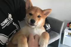 received_776584422778423