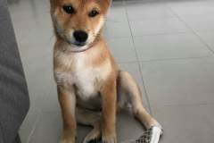 received_903243200057027